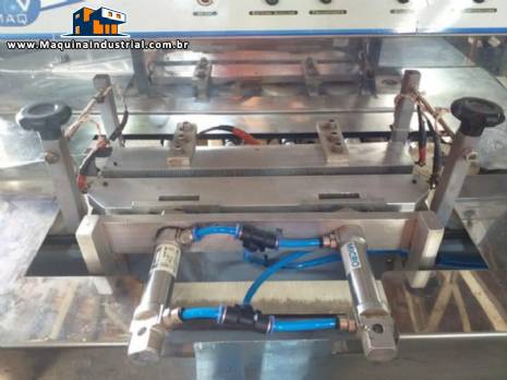 Seladora de sacos pneum�tica JCV