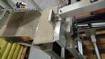 Balana checadora dinmica checkweigher Geos