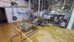 Linha para processamento gel�ias molhos coberturas caldas 450 toneladas por m�s