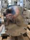 Bomba de l�bulos inox 316 Alfa Laval ano 2017 SRU 4
