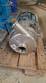 Bomba centr�fuga sanit�ria Castinox com motor WEG 2 CV
