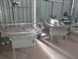 Linha de envase envasadora recravadeira rotuladora para p�s em latas Masipack Neife Brapenta