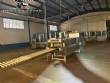 Linha completa de envase Tetra Pak TBA 8 com cardboard packer e shrink