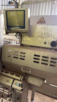 Filetadora de peito de frango Marel Stork AMF