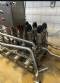 Manifold cluster de v�lvulas sanit�rias em inox Alfa Laval / Tetra Pak para latic�nios leite l�cteos bebidas