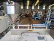 Envasadora em inox 1 bico de bancada 100 ml a 1000 ml