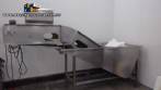 Lavador lavadora e alimentadora em inox de pescados peixes frutos do mar