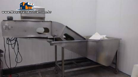 Lavadora e alimentadora em inox de pescados peixes frutos do mar