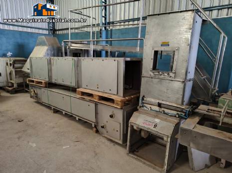 Transportador elevador de canecas em Z WIESE