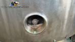 Cozinhador tacho em inox a g�s 600 litros
