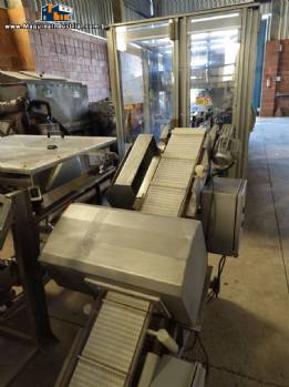 Detector de metais Brapenta